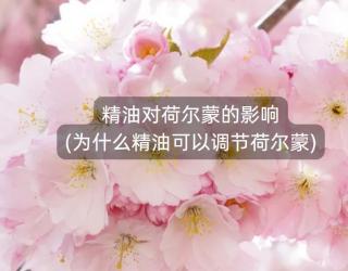 精油对荷尔蒙的影响(为什么精油可以调节荷尔蒙)