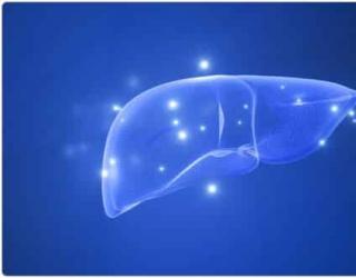 芳疗小知识｜精油使用安全之肝毒性