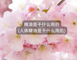 精油是干什么用的(人体精油是干什么用的)