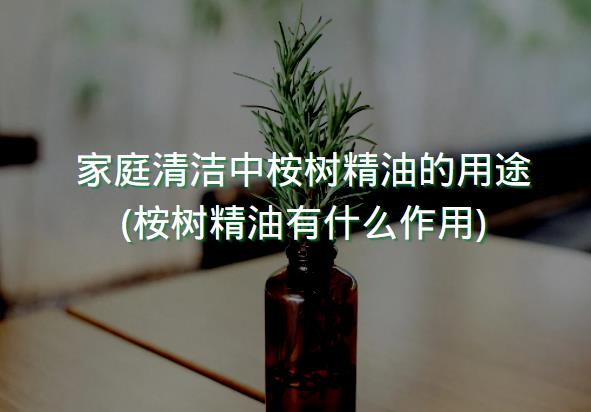 家庭清洁中桉树精油的用途(桉树精油有什么作用)