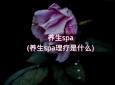 养生spa(养生spa理疗是什么)