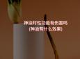 神油对性功能有伤害吗(神油有什么效果)