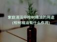 家庭清洁中桉树精油的用途(桉树精油有什么作用)
