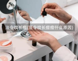 法令纹长痘(法令纹长痘痘什么原因)
