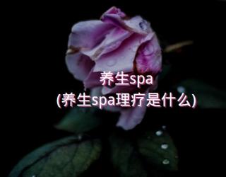 养生spa(养生spa理疗是什么)