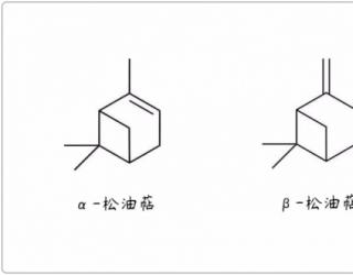 芳疗小知识｜单萜烯 - 松油萜