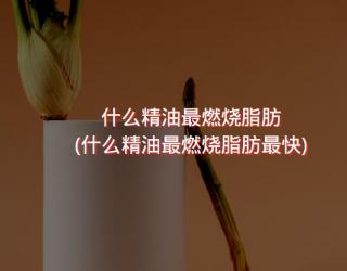 什么精油最燃烧脂肪(什么精油最燃烧脂肪最快)