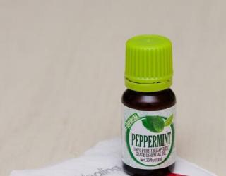 柏树精油：是什么、好处、用途和配方