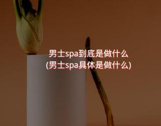 男士spa到底是做什么(男士spa具体是做什么)