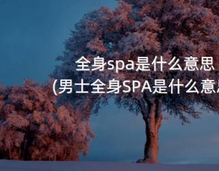 全身spa是什么意思(男士全身SPA是什么意思)