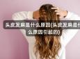 头皮发麻是什么原因(头皮发麻是什么原因引起的)