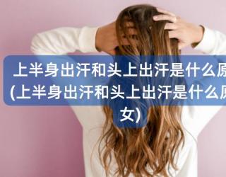 上半身出汗和头上出汗是什么原因(上半身出汗和头上出汗是什么原因女)