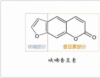 芳疗小知识｜内酯 - 呋喃香豆素