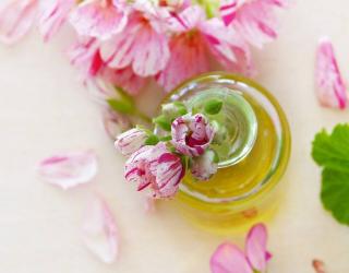 天竺葵精油是什么