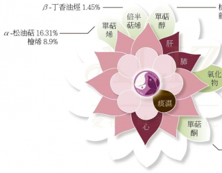 精油百科｜桉油醇迷迭香
