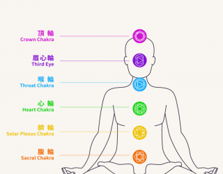 精油百科｜桉油醇迷迭香