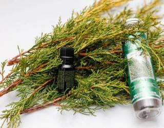 什么是松树精油