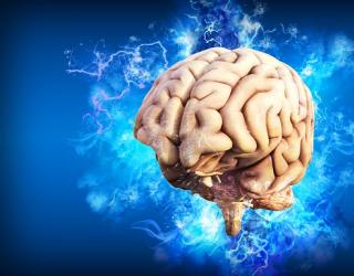 神经科学家终于弄明白了为什么思考会如此令人筋疲力尽