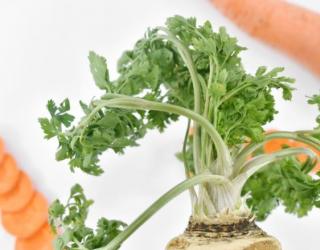 萝卜硫素是什么？有什么好处？