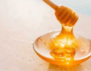 为什么蜜蜂突然离开蜂巢？