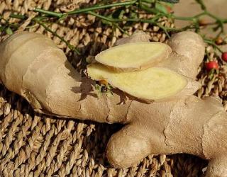 生姜精油禁忌(如何正确使用生姜精油)