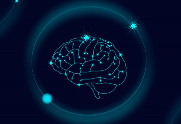 科学家们在死猪身上复活了一些器官:这意味着什么?