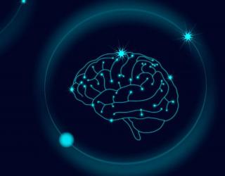 科学家们在死猪身上复活了一些器官：这意味着什么？