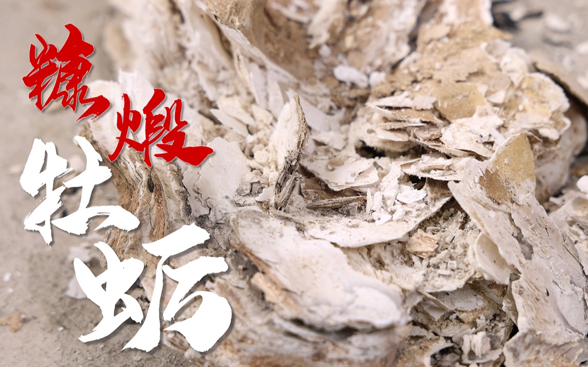 煅牡蛎的功效和作用(煅牡蛎的功效和作用,提高免疫力,补肾壮阳)