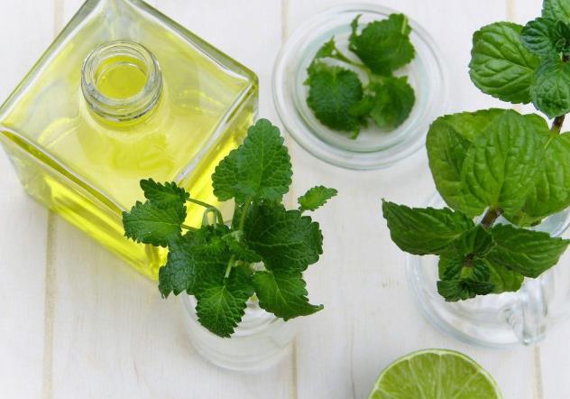 精油怎么用脸上效果好(具体的精油和使用方法)