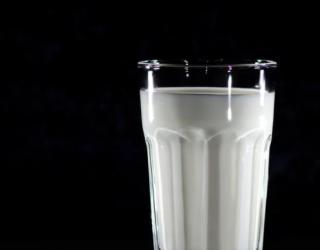 山羊奶的好处：为什么你应该在这个季节喝它