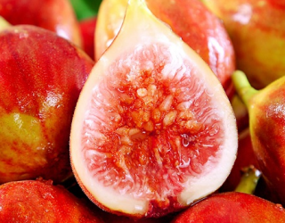 无花果是不是连皮一起吃（无花果是剥皮吃吗还是直接吃）