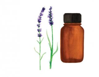 长期使用薰衣草精油的危害