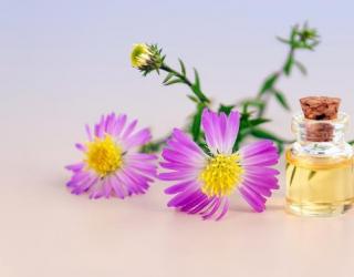 治疗面部黑斑的五大精油及使用方法