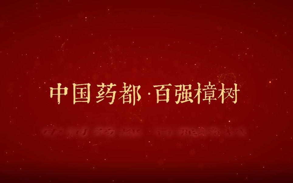 樟树子的功效与作用(樟树子的功效与作用，全面解析)