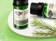 茶树精油祛痘的使用方法_原理_多久见效