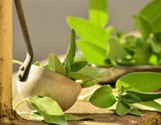 星期四茶树精油怎么样？使用方法？