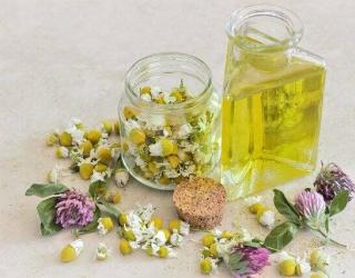 洋甘菊精油的用法_洋甘菊精油的使用方法