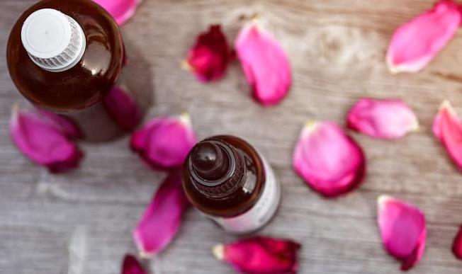 家里有猫可以使用玫瑰精油香薰吗?