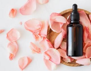 如何使用玫瑰天竺葵精油进行芳香疗法?