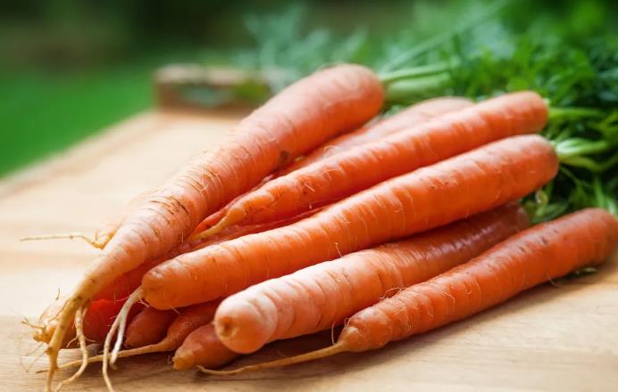 胡萝卜籽精油的用途(胡萝卜籽精油使用方法)