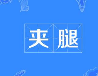 夹腿（女孩子为什么喜欢夹腿）
