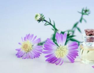 如何安全有效使用精油？