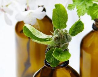 可以增加食欲的精油以及使用方法