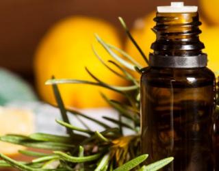 如何使用迷迭香精油护理头发