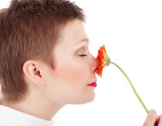 10种治疗鼻窦感染的精油及使用方法