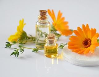 9种可以对抗指甲真菌感染的精油及使用方法