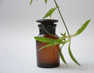 瘦鼻精油有用吗（瘦鼻精油值得信赖和使用吗）