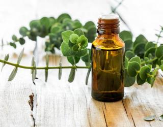 用于治疗喉咙痛、咳嗽和充血的15种精油及使用方法