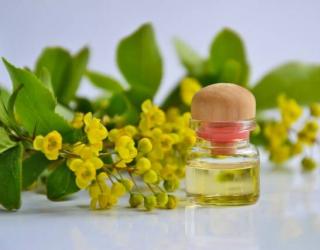 治疗头痛和偏头痛的精油以及使用方法