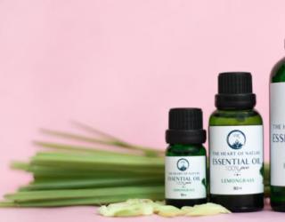 什么精油最燃烧脂肪(加速脂肪燃烧的精油有哪些)